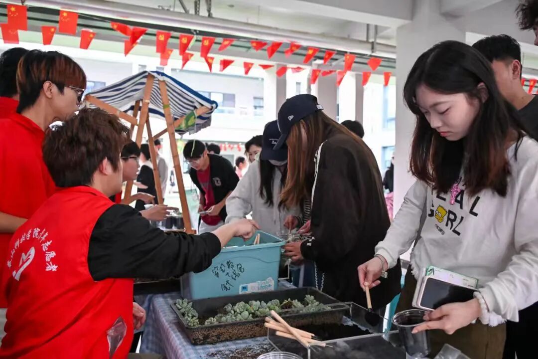 泰山小满周报丨去爱,去感受,在盛夏探寻全新的自己(第68期)