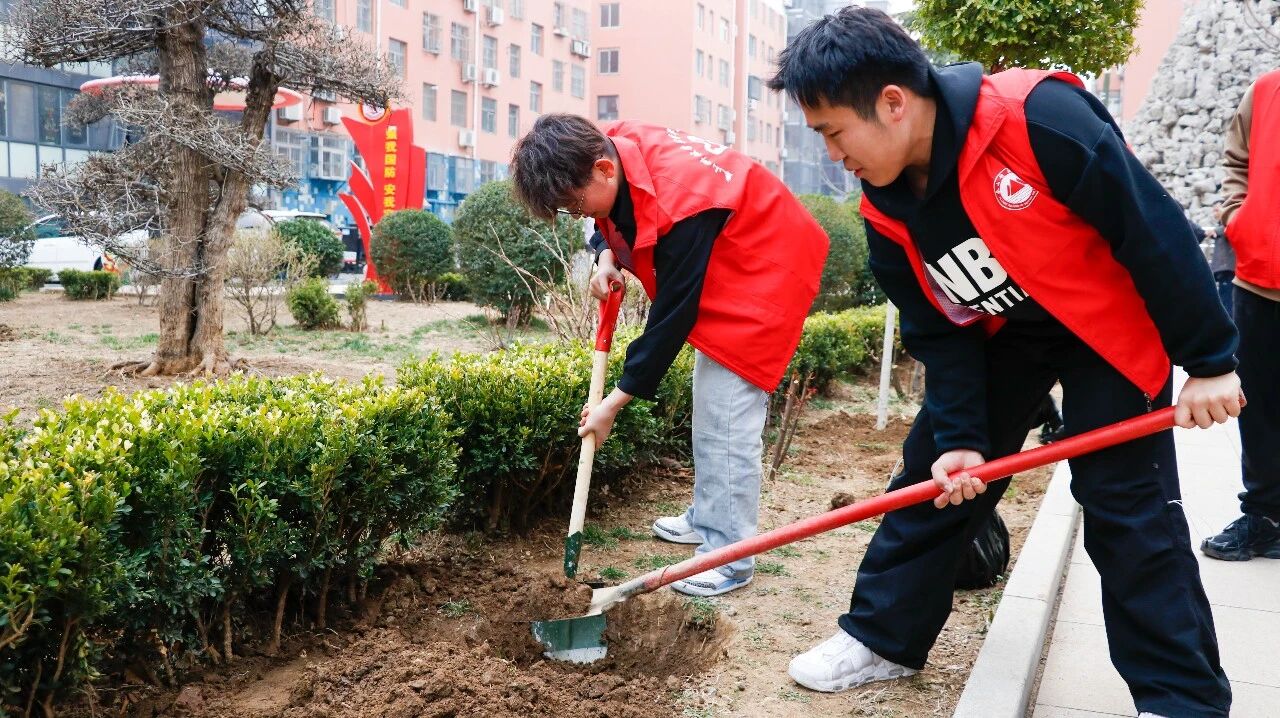 志愿添新绿，公益暖社区！泰山科技学院联合东湖社区植树护生态
